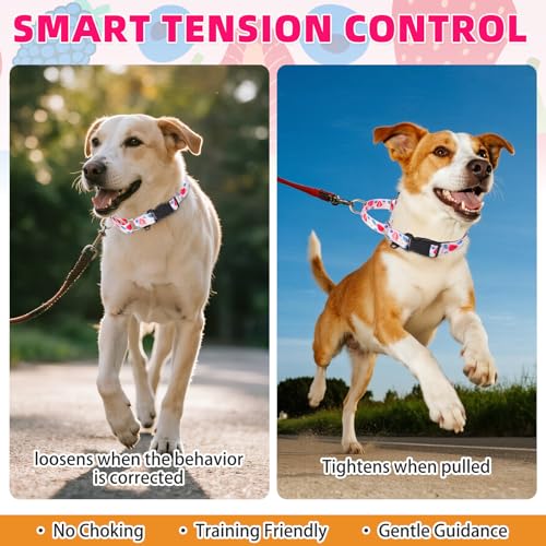 Image of Martingale Collar for Dogs for Small Medium Large Dogs, Soft Padded Nylon No Pull Dog Collar with Buckle, Adjustable No Slip Heavy Duty Durable Puppy Training Collar for Boys Girls, Pink L