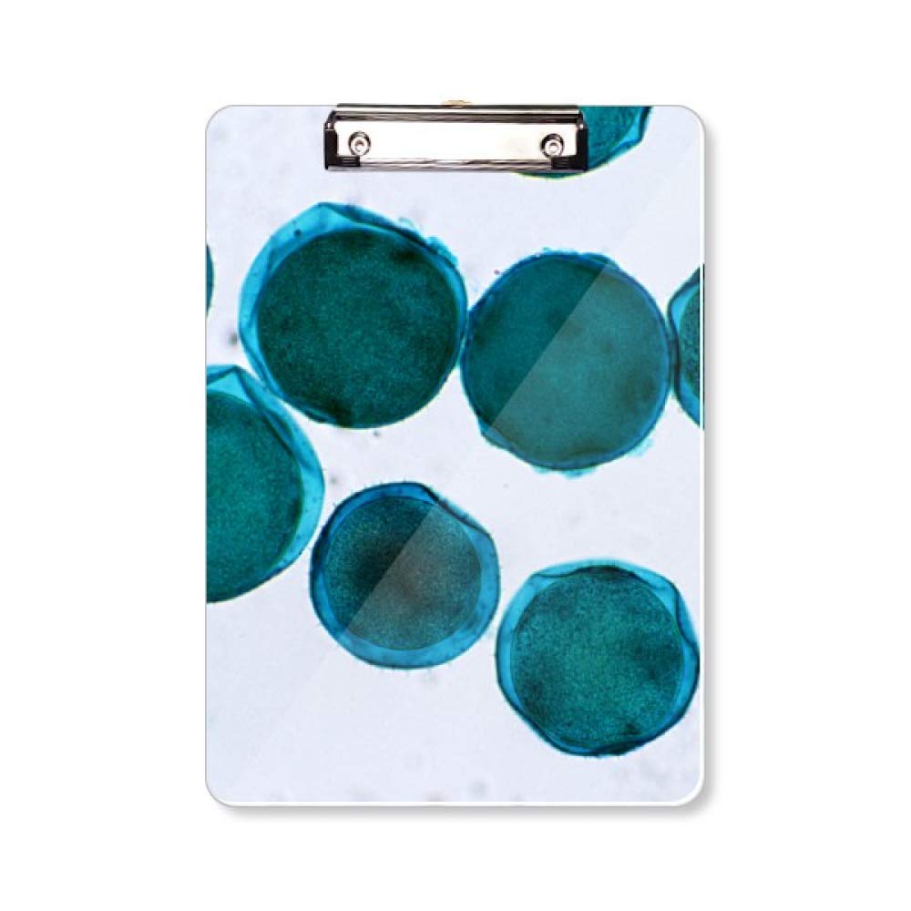 Porte-bloc A4 motif cellule bleue pour organisation de bureau