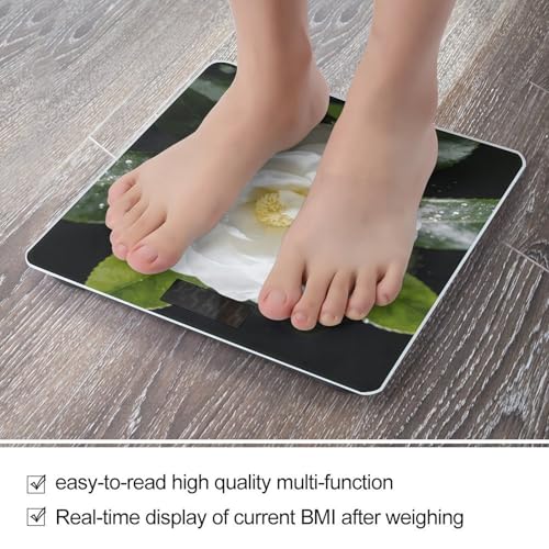 Báscula de baño digital con pantalla LCD y base antideslizante miniatura 5