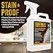 Dry Treat Sealer Stain-Proof Premium Impregnating Indoor & Outdoor, Quart - Concrete, Marble, Tile Grout, Stone, and Paver - Bundled with Moshify Spray Nozzle