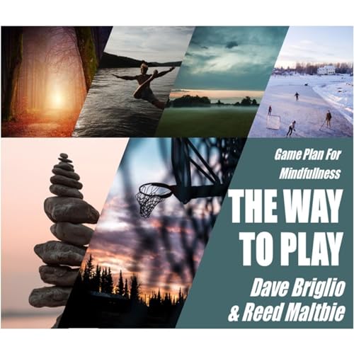 The Way To Play...Mindfullness Game Plan cover art