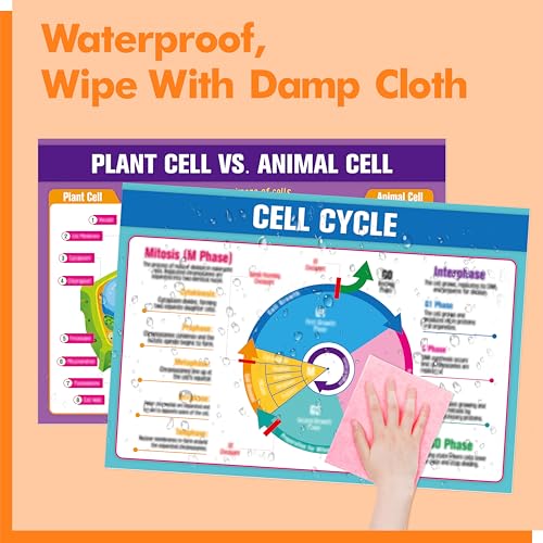 Image of 17 Laminated Biology Posters, Human Body System, Cell Anatomy, DNA, Photosynthesis, Educational Science Charts For Middle & High School, Learning Tool For Classroom, Bulletin Board, Room, 11 inchx16 inch