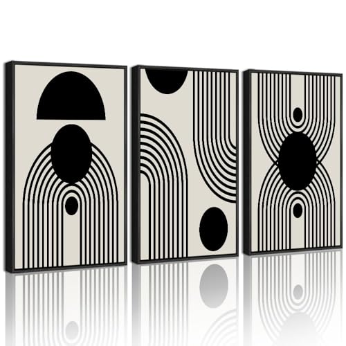Drsoum Black and White Abstract Framed Wall Art Decor Duotone Minimal Dark Brush...