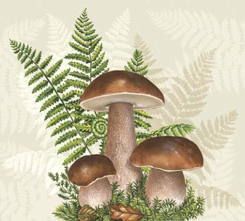 Set of 2 Individual Decoupage Paper Party Napkins MUSHROOM 'SHROOMS FUNGI Watercolor Decor Luncheon Napkin for a Birthday holiday, Wedding, Cocktail Party
