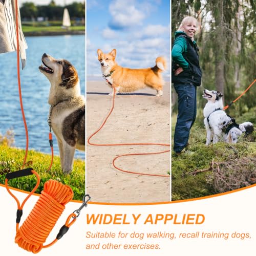 Szee 20240227-1 Floating Long Dog Leash thumb #6