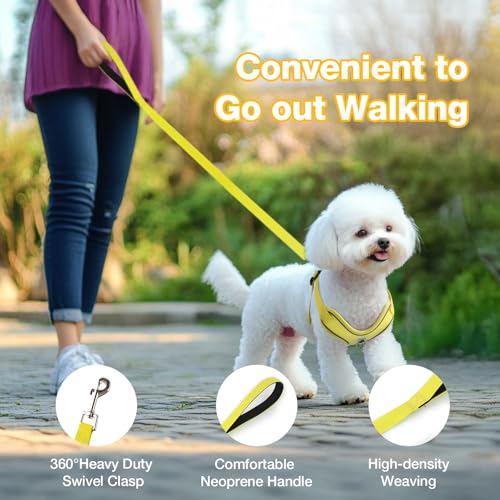 Feycig Hundegeschirr Kleine Hunde, Anti Zug Einstellbar Reflektierend Geschirr, Atmungsaktiv Weiches aus Mesh Geschirr Hund Leichtes Welpengeschirr Brustgeschirr mit Griff (Gelb, X-Small)