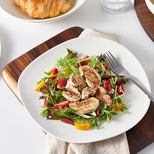 Stone Lain Delilah Dinner Plate 6-Piece Dish Set, Porcelain, Cream #TOP6