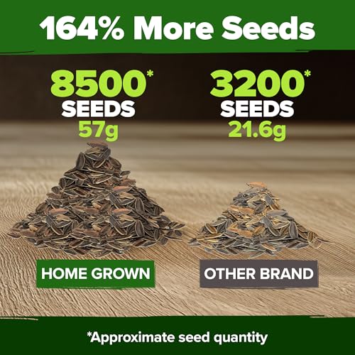 Image of HOME GROWN Envy Zinnia Seeds (2oz) - 8,500 Rare Lime Green Annual Zinnia Flower Seeds for Planting, Fast-Growing Bulk Seed Variety, Premium Garden Companion for 2026 Bloom (Zinnia elegans)