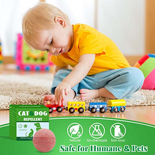 image for YJOO 12Pack Cat Repellent Indoor Outdoor, Cat & Dog Natural Repellents