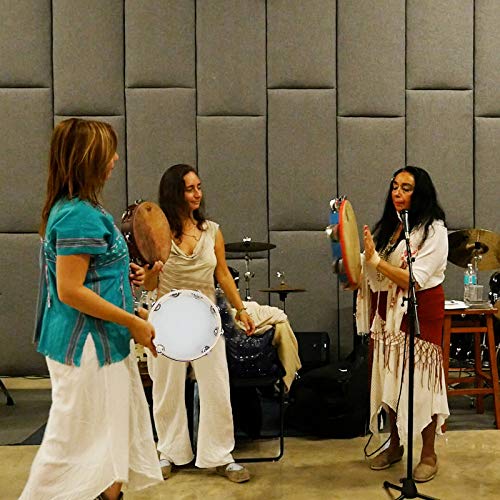 FengWu 3 Pack Tambourine for Adults Wooden Tambourine 6 inch 7 inch 10 inch Hand Held Tambourine Metal Jingles Single Row Instrument Handheld Tambourine Drum for Church, KTV, Musical Educational - Thumbnail 6