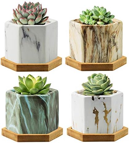 FairyLavie 2.5 Inch Modern Planter for Indoor Plants