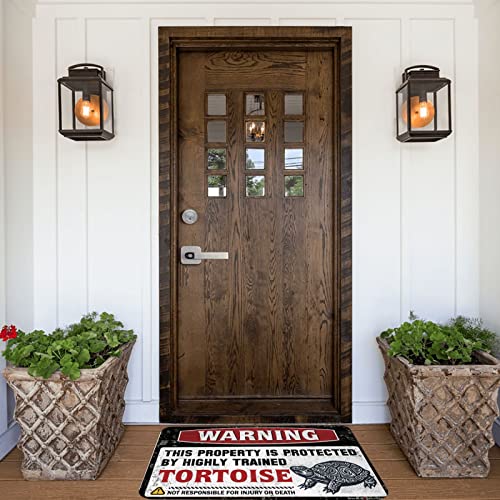 Tapis polypropylène tortue 40x60cm pour entrée propre extérieure