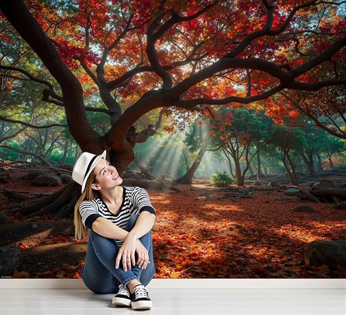 Papier peint panoramique 3D : la solution pour illuminer votre chambre - 6