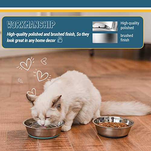 The 29 Best Dishwasher Safe Dog Bowls of 2024 [Verified] Cherry Picks