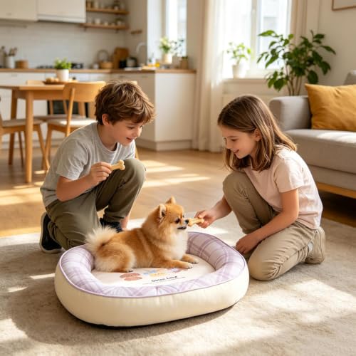 Cama para perro lavable con cojín acolchado y base impermeable antideslizante 5