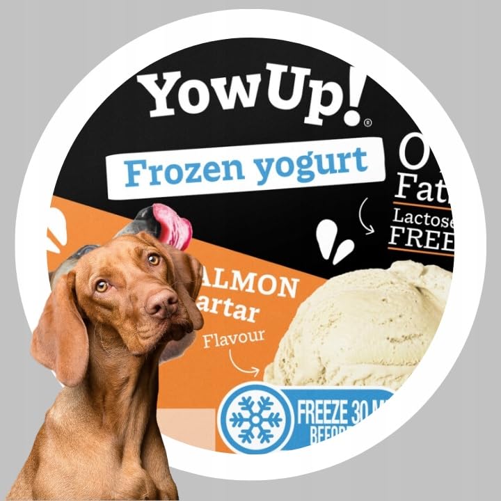 YowUp! Ice Cream for Dogs Salmon Tartar Flavour 12 Units. Natural and Healthy Snack, 110 g (Pack of 12) - Image 3