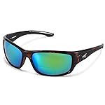 KastKing Ellijay Bifocal Polarized Sunglasses, Bi-Focal x1.5 x2.0 x2.5 Magnifications, Wrap Sport Reader Sunglasses