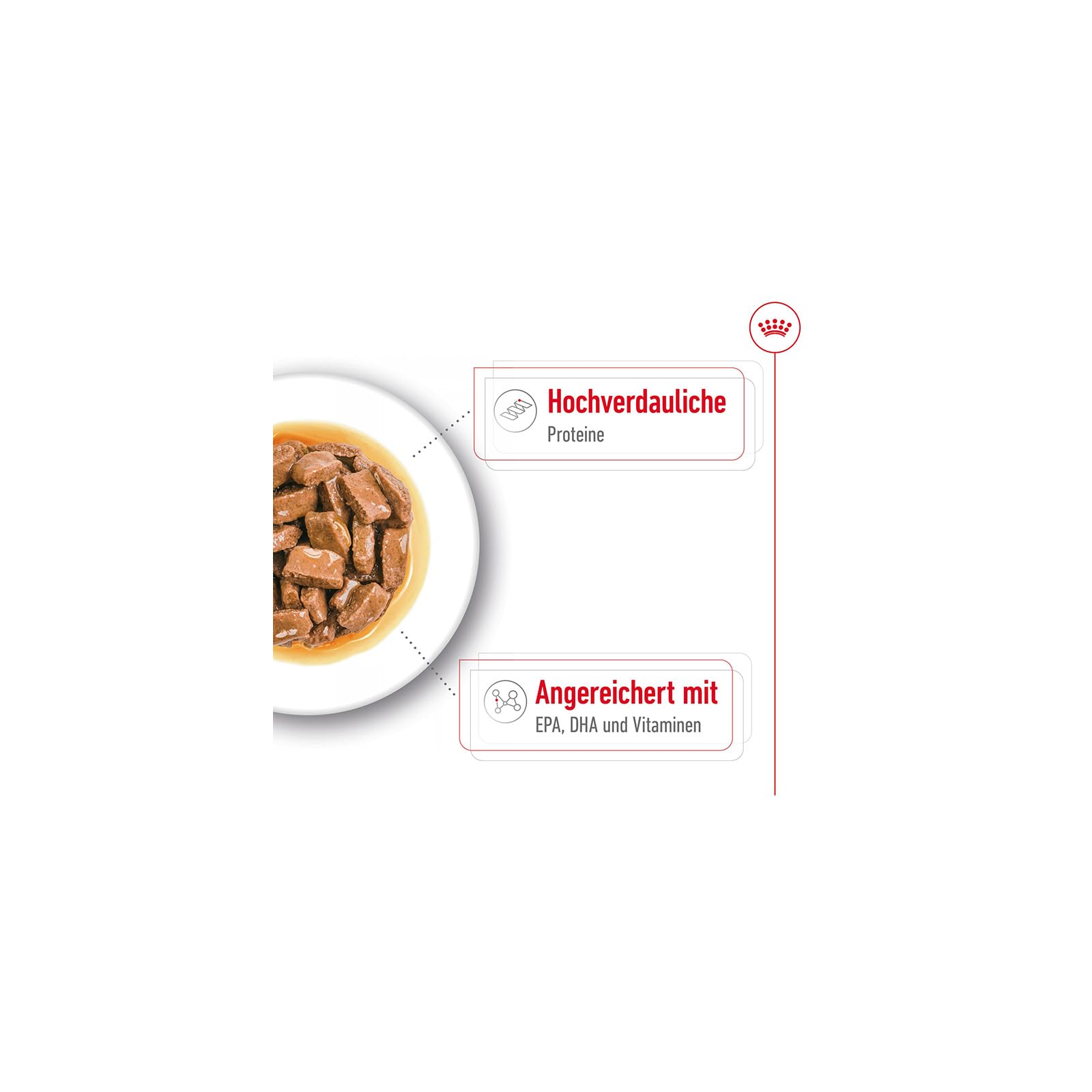 Royal Canin Maxi Ageing 8+ | Pack Double | 2 x 10 x 140 g | Aliment Complet pour Chiens | pour Grands Chiens âgés et Seniors (26 à 44 kg) | À partir de 5 Ans