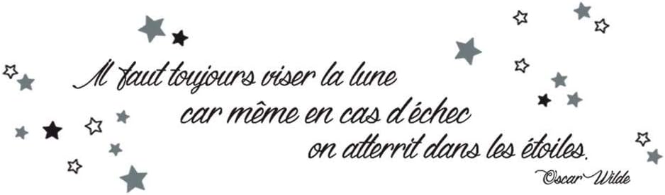 Les Tresors De Lily Q3155 Planche De Stickers Citations Il Faut Toujours Viser La Lune Car Meme En Cas D Echec On Atterit Dans Les Etoiles Oscar Wilde 50x70 Cm Les Tresors De Lily Q3155 Planche De Stickers Citations Il Faut Toujours Viser La Lune Car Meme En Cas D Echec On Atterit Dans Les Etoiles Oscar Wilde 50x70 Cm