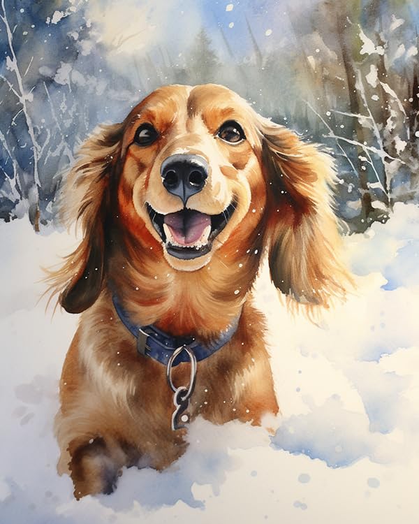 ZMHZMY Paint by Number Kits Dachshund Dog in The Snow DIY Digital Canvas Oil Painting Art Decor for Adults Beginner,40x50cm Frameless