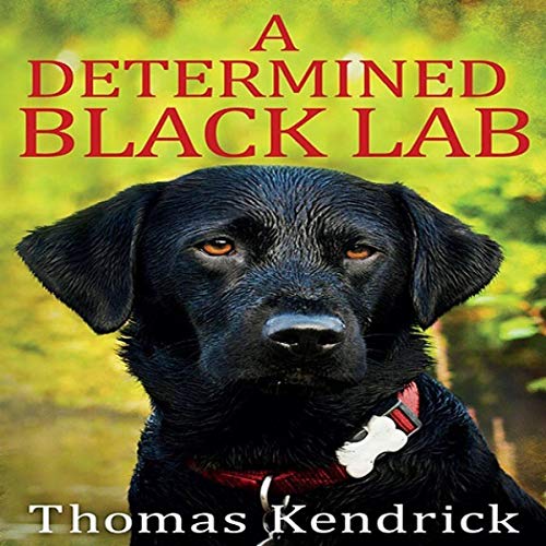 A Determined Black Lab by Thomas Kendrick episode artwork