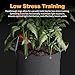 Patigrow Self-Watering Grow Bags, 5-Pack 5 Gallon 420G Thick Nonwoven Fabric Pots with Reinforced Handles and Multi-Purpose Rings, for Low Stress Plant Training Fruits, Vegetables,and Flowers