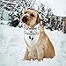 2pcs Dog Bandana Pregnancy Announcement, Pet Dog Scarf Pet Triangle Bandana Bib Baby Security in Training Big Sister Scarf Accessories for Gift
