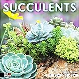 RED EMBER Succulents 2026 Wall Calendar 12 Month | 12' x 24' Open | Thick & Sturdy Paper | Holiday Gift | Nature Calendar 2026