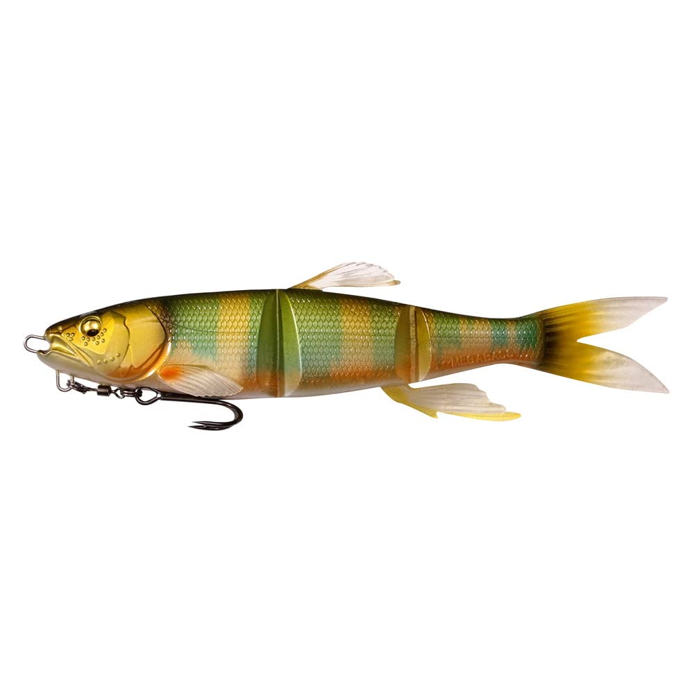 ガンクラフト　デプス　ジャッカル　メガバス　 イマカツ　ダイワ　レイド　セット IXI SHAD(アイバイアイ シャッド) TYPE-R イマカツブリーム