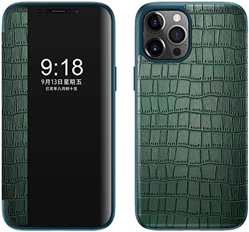 Étui de téléphone à rabat Apple iPhone 13 Pro vert crocodile avec fenêtre