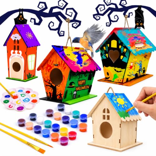 hapray 4 Pack Bird House Craft Kit, DIY Birdhouse for Kids...