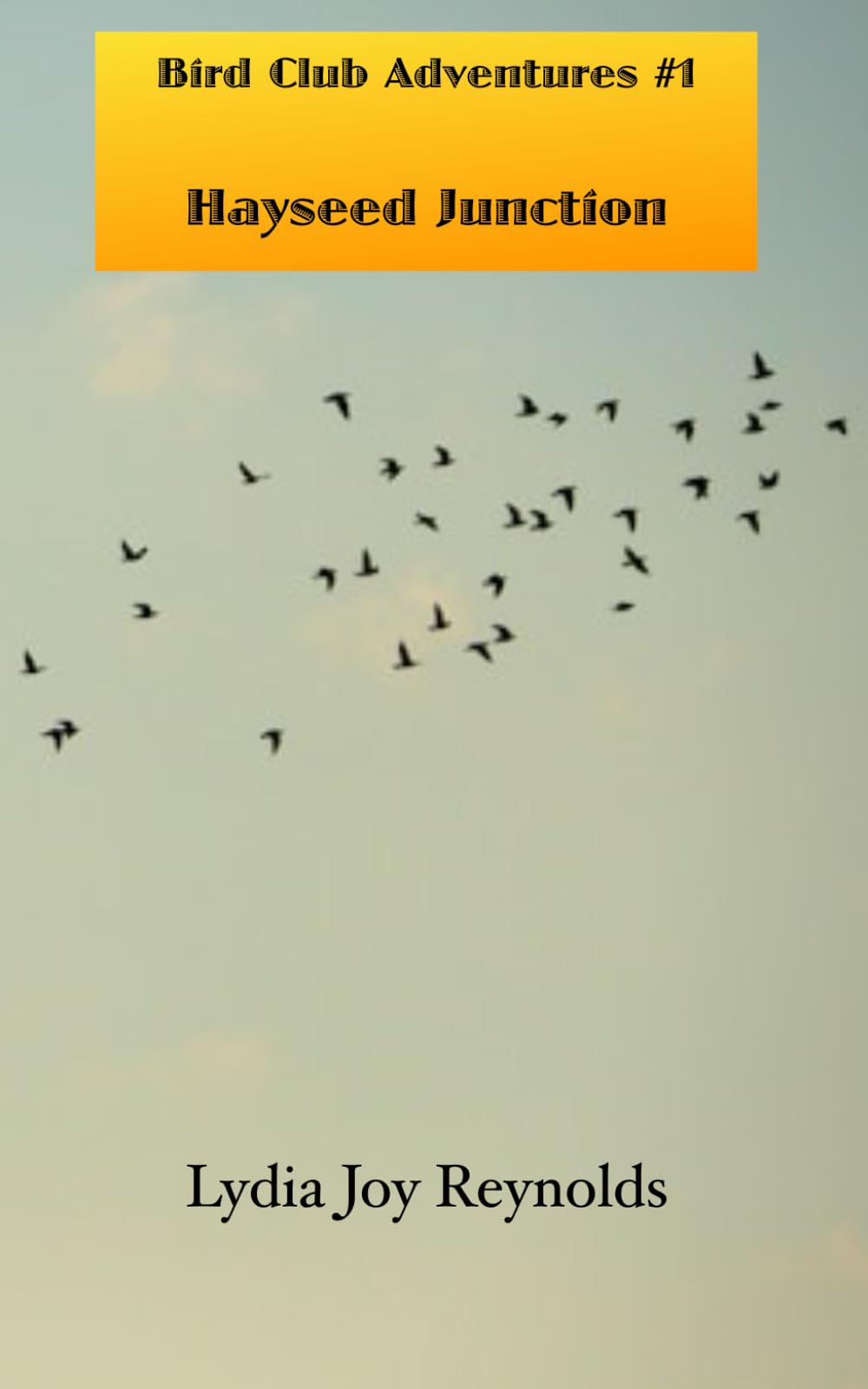 Bird Club Adventures #1, Hayseed Junction