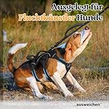 rabbitgoo Ausbruchsicheres Hundegeschirr Kleine Hunde mit Griff, Anti Zug Sicherheitsgeschirr Hund Atmungsaktiv, Verstellbare Brustgeschirr, Gepolstertem Hundeweste, Panikgeschirr, Schwarz S