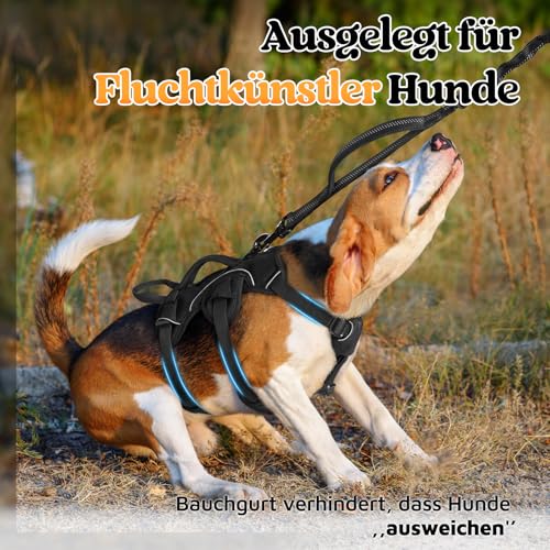 rabbitgoo Ausbruchsicheres Hundegeschirr Kleine Hunde mit Griff, Anti Zug Sicherheitsgeschirr Hund Atmungsaktiv, Verstellbare Brustgeschirr, Gepolstertem Hundeweste, Panikgeschirr, Schwarz S