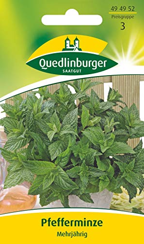 Preisvergleich Produktbild Pfefferminze, mehrjährig, Mentha piperita, ca. 400 Samen