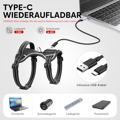 Leuchtendes Hundegeschirr, Colaseeme Light Hundeweste mit reflektierenden Streifen und verstellbarem Geschirr, LED-Hundelicht wiederaufladbar für kleine, mittelgroße und große Hunde (Grün,XS)