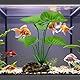 Aquariums Pflanzen Deko Zubehör Fisch Tank 2 Stück Grün Künstlich Plastikpflanzen Aquariumdekor, Realistische Dekoration aus künstlichem Treibholz