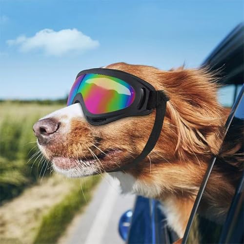 FOSDICK 2Stück Hundebrille, Brille Hund UV-Schutz, Winddicht Hunde Brille, Sonnenbrille Hund mit Verstellbare Riemen, Hundesonnenbrille für Mittel Große Hunde, zum Autofahren,Outdoor-Aktivitäten,Farbe