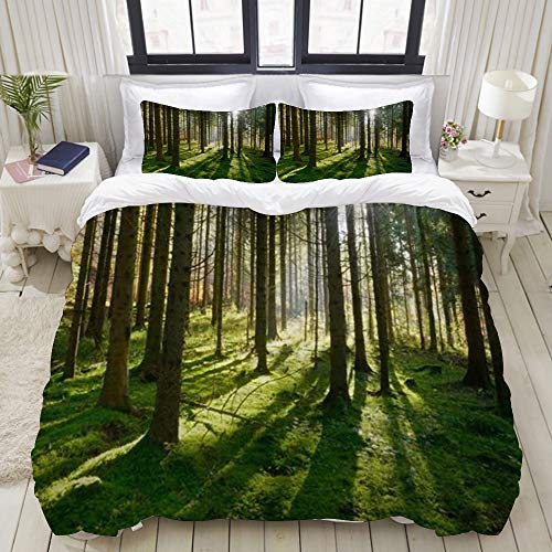 Bettwäsche 3 Teilig Bettgarnitur,Abies Forest Morning Spruce Trees von Beam Mist Reserve Sunbeams Trunk Nature,Gemütlich 3D Mikrofaser