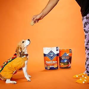 Blue Buffalo Health Bars Crunchy Dog Biscuits Oven Baked With Natural Ingredients Pumpkin Cinnamon 16 oz Bag