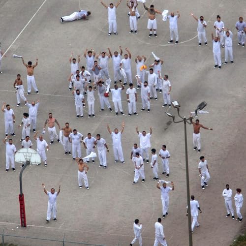 Who profits from migrant detention?