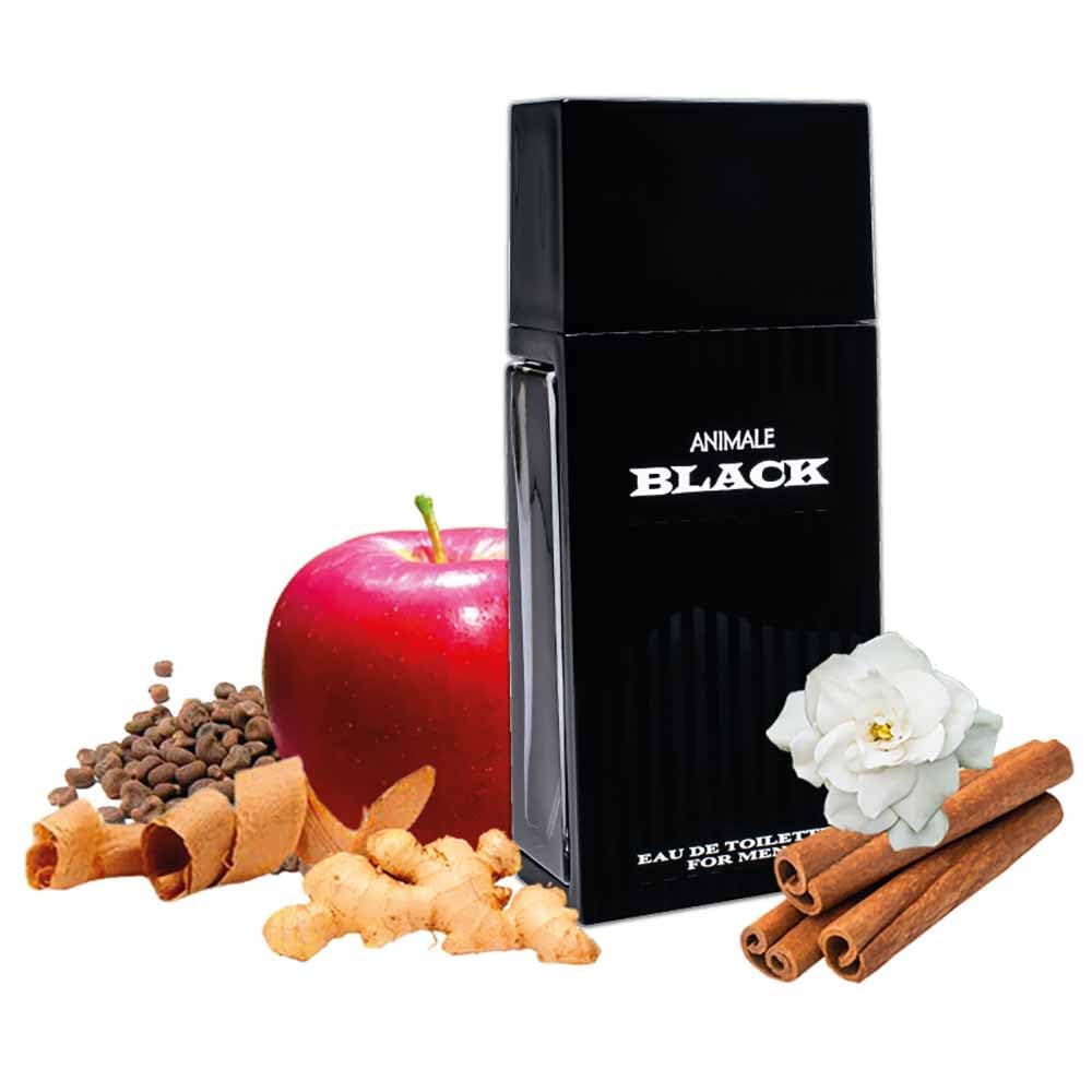 Amazon.com : Animale Black Men Eau-De-Toilette Spray by Animale