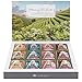 Teabloom Flowering Tea Chest - Curated Collection of 12 Gourmet Flowering Teas - Packaged in Beautiful Gift-Ready Tea Box