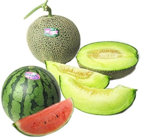 Amazon 熊本初夏のフルーツセット メロン すいか 各1個詰め合わせ 熊本県産 メロン すいか 果物 通販