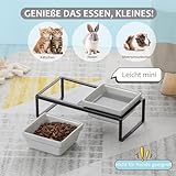 HCHLQLZ Grauer Futternapf für Katzen und Hunde, erhöht, mit Halterung – Katzenschüssel für Kätzchen und Welpen – doppelte Keramikschüsseln gegen Erbrechen und leicht zu reinigen, 2 x 280 ml