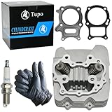 Tupo Top End Cylinder Head Kit Compatible with Honda Recon 250 Recon250 Sportrax 250 TRX 250 TRX250 TRX250X TRX250EX TRX250TM TRX250TE 12200-HM8-A40 2002-2014