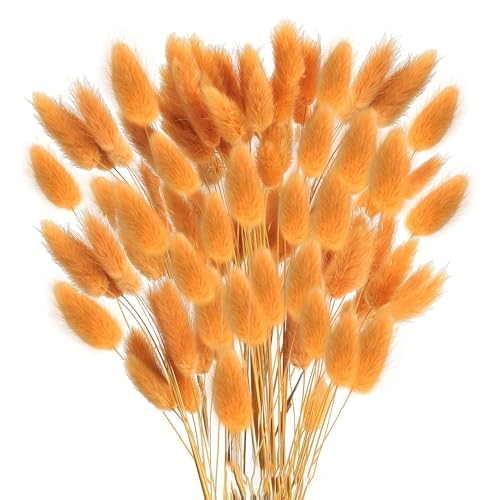 Orange Bunny Tails flores secas naturales 120 piezas