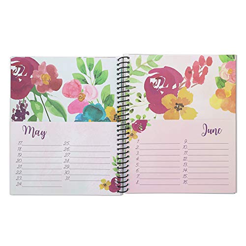 Sustainable Greetings Floral Greeting Card Organizer Book – 10 x 8.5 Inches