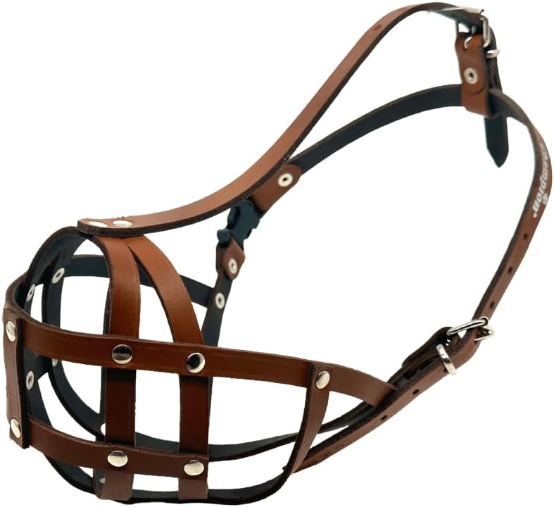Soft Genuine Leather Dog Muzzle for Chow Chow and Wide Snouts - Breathable Anti-Biting, Chewing, Scavenging Training Tool - Adjustable Metal Buckles, Lightweight & Non-Toxic (CH2, Natural)