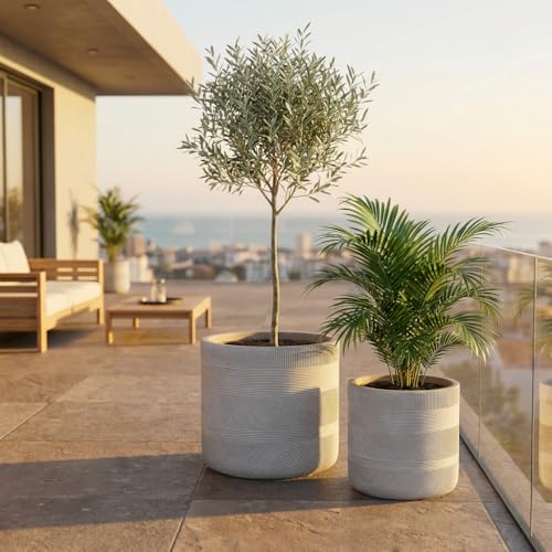 NATINDESIGN Olivenbaum Blumentopf Betonoptik 2er Set Ø 33,5 & 27cm XL Blumentopf Grau Gross für...